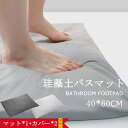珪藻土バスマット 珪藻土 バスマット ソフト足拭きマット お風呂マット( 割れない 冷たくない やわらかい ビチャビチャしない ノンアスベスト カバー洗える 速乾 削り不要 抗菌消臭 )アスベストなし 珪藻土100% 脱衣所 北欧 カバー2個付 40*60