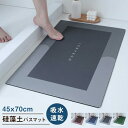 送料無料 珪藻土 ソフト 吸水マット バスマット 足ふきマット トイレマット 浴室/洗面所/キッチン マット 玄関マット 抗菌 防臭 エステ..