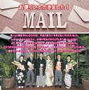 体重米 結婚式 両親 プレゼント ウエイト米 【 新郎新婦2個セット ウエイトライス 写真なし 】 ギフト お米 米 結婚式 記念品 両親贈呈品 かわいい さがびより 出生体重米 手作り 風呂敷 花 おくるみ 名入れ 和装 洋装 両親贈答 花束 感動 ウェディング ブライダル 俵 袋 3