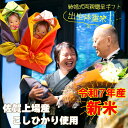 【新米 令和7年産 こしひかり】 体重米 結婚式 お米 ウエイト米 新郎新婦2個セット ウエイトライス 顔デカVer 風呂敷 両親 プレゼント 送料無料 米 記...