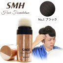 SMHヘアファンデーション スティックタイプ 3g 【No.1 ブラック】送料無料