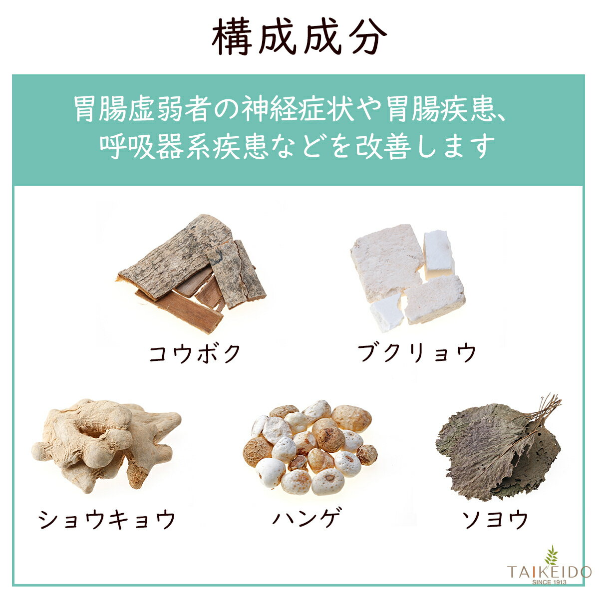 ����2������ʡۡڥݥ����5�ܡ�����̵���� ���ž� 300�� �ۥΥߴ��� ����Ʋ���� �԰¿��о�