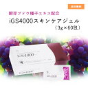 瞬芽ブドウ種子エキス配合　iGS4000 スキンケアジェル（3g×60包）