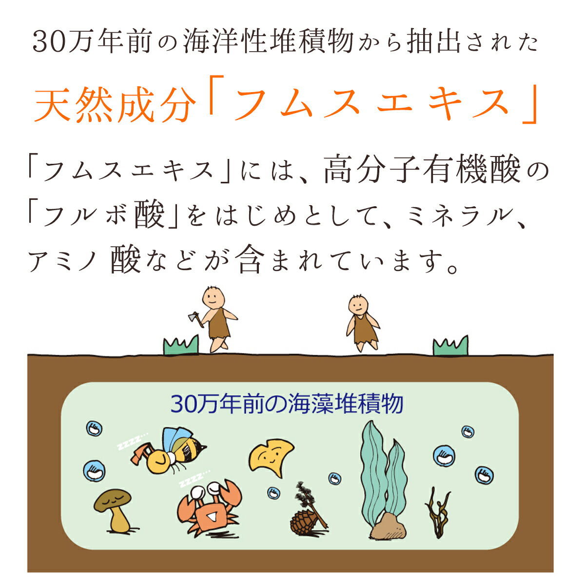 �����饤�����ߥ��ȥ��ץ졼 100ml 3�ĥ��å� �եॹ������ ���� �����󥱥� �ܥǥ����� ������ץ���