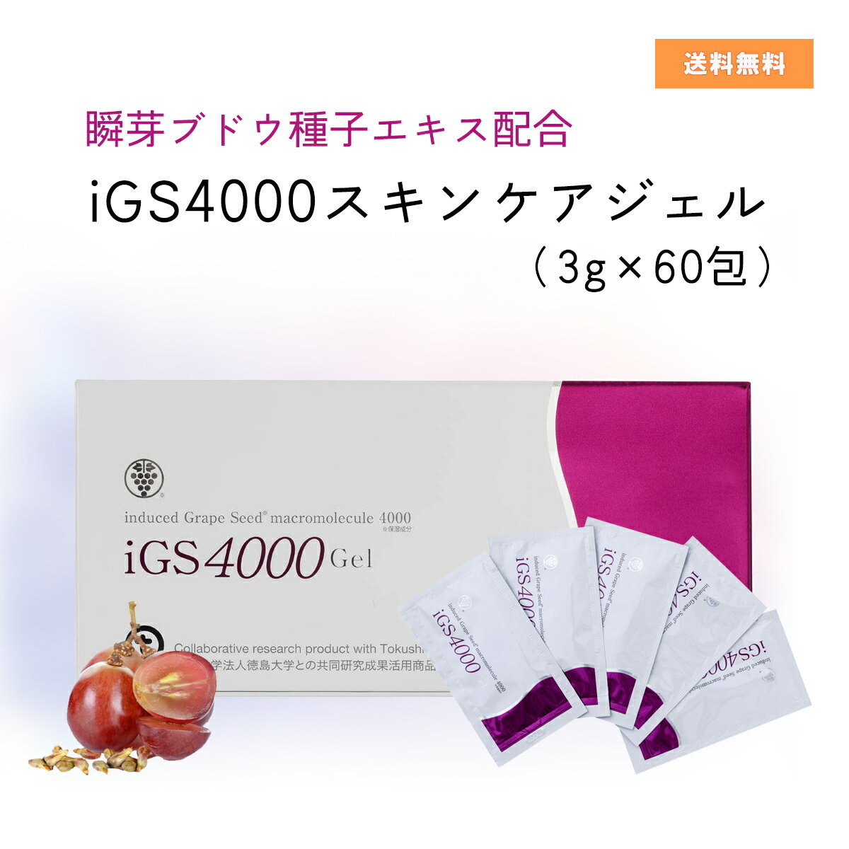 iGS4000(ジエル)2セット 【公式通販】