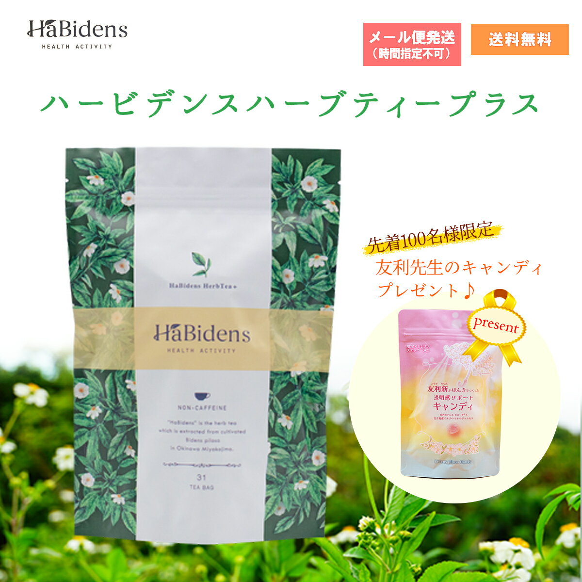 樂天商城 - ★★エントリーで最大100％ポイントバック！4/30まで★★ハービデンス ハーブティー プラス 【 宮古ビデンスピローサ茶 】 31包入り