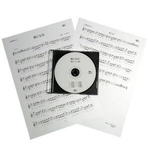 篠笛楽譜 ルージュの伝言 カラオケ CD＋楽譜