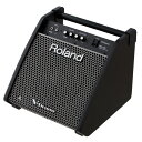 ROLAND ( ローランド ) / PM-100