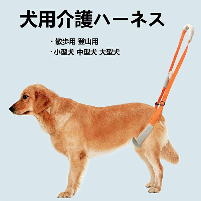 商品仕様： サイズ：調整範囲40-70cm　幅2cm 重さ：48g カラー：オレンジ 素材：ポリエステル 【術後リハビリ】：膝の手術後、CCL（ACL）、TPLO、股関節の交換などに役立つ、効果的なリハビリテーションバンドです。犬の背もたれはあなたのペットの後ろの部分を拾って、老化のため引き起こす股関節の痛みと傷つけることを防止して、彼らが自動車に出入りすることを支持して、階段を上り下りして、彼らに起床するように助けて、足取りと脊椎を安定させます。それらは全部後ろ足に対して迷惑があります。背中保護ベルトはあなたの犬を手術から回復させます。犬の後ろ足を支える時は、伝統的なサスペンダーの代わりになります。主人は腰をかがめる必要がないので、スムーズに犬を地上から持ち上げることができます。ご主人様や愛犬にも便利です。 【効果的な助け】犬の歩行補助ハーネスがあなたの犬を助けます。退行性脊髄病、股関節の発育不良、ACLが引き裂いたり、他の虚弱な病気を患って歩いたり、登ったりして正常な生活を回復します。老化による股関節の痛みやけがを防止し、後足をサポートすることは、高齢者の犬や障害者の犬やけがをする犬を助けることを目的としており、階段の上を歩くことができないと、乗りにくいです。あなたの犬の仲間を助けます。 【使いやすい】犬の歩行補助ハーネスの概念は、パッド付きの取っ手にとても適しています。だから、犬の歩行補助ハーネスは犬の後ろ足にセットするだけで、簡単に犬の後ろ足部分を持ち上げられます。とても簡単で便利です。犬のウォーキング補助ハーネスは水洗いできます。持ち出しても便利です。使わない時によく保存できます。 【サイズ調節可能】犬のウォーキング補助ハーネスの調節可能な範囲は40～70 cmで、大きさの違う犬に適しています。大型犬でも小型犬でもよく使えます。これは愛犬に良いプレゼントです。弱者や老年犬のための究極のケアを提供します。 【注意事項】 ※モニターによって実際の商品と色が異なって見える場合がございます。 ※予告なしにカラー等の変更がある場合がございます。予めご了承下さい。 ※輸入品にて細かいほつれ、傷、細かい接着剤のはみ出しや、糸の飛出し、染色ムラ、起毛ムラがある場合がございますが程度の軽いものは良品とさせて頂きます。