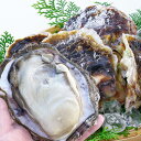 送料無料【至極の逸品】日間賀島 素潜り漁師直送|天然岩牡蠣4個セット