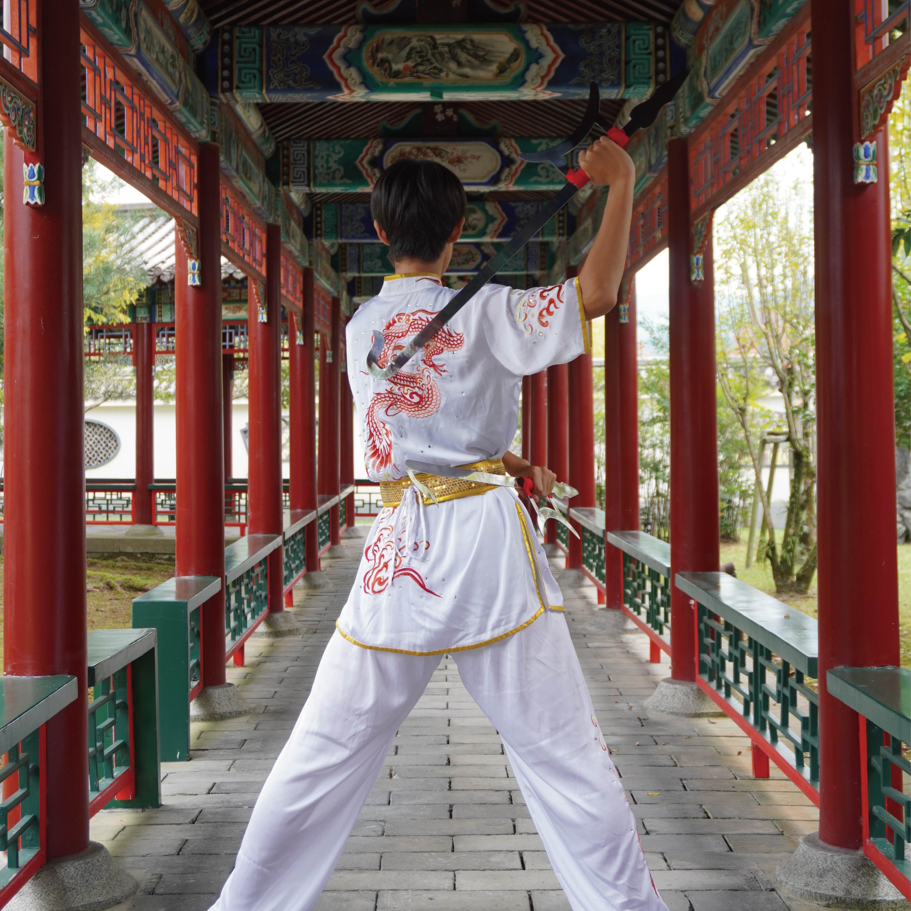 【レビューを書いてプレゼント】双鈎 そうこう 伝統武器 中国武術 ジュラルミン製 専用ケース付き 中国武器 人気 かっこいい 武藝堂 カンフー 功夫 太極拳 伝...