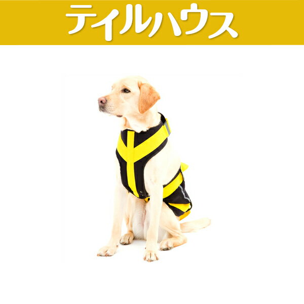 Lalawalk トンボ 犬 ハーネス 大型犬 シニア犬 リード リュック 脚力低下 歩行補助 筋力維持 股関節 介助 介護 ネオプレーン オレンジ トリコロール ブルー ネオ Lalawalk トンボ 犬 ハーネス 大型犬 シニア犬 リード リュック 脚力低下 歩行補助 筋力維持 股関節 介助 介護 ネオプレーン オレンジ トリコロール ブルー ネオ