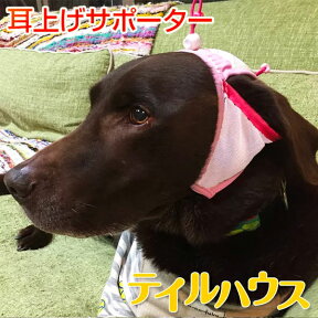 たれ耳　外耳炎　犬　たれ耳犬　犬の健康　耳の病気　耳のケア　通気性　ジメジメ　じめじめ　マラセチア菌　耳上げ　たれ耳アップ　ゴールデンレトリーバー　ラブラドールレトリーバー　大型犬　伸縮性フィット 犬用サポーター　たれ耳アップだワン