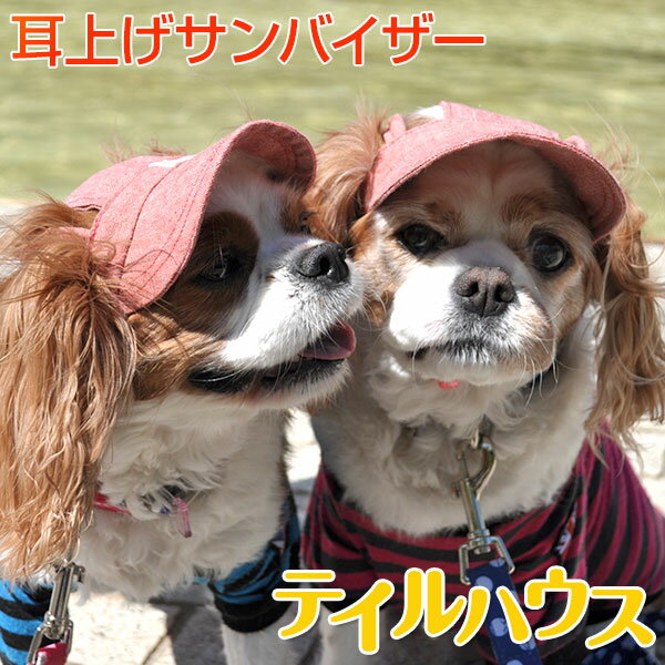 【耳上げサンバイザー 小型犬用Sサイズ】たれ耳犬　スポーティー　カジュアル　かっこいい　紫外線対策　犬の健康　耳の病気　耳のケア　外耳炎　通気性　ジメジメ　じめじめ　マルチーズ　トイプードル　小型犬のサムネイル