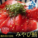 LINE限定 みやび鮪 「□赤身1000g」赤身 1kg (1P約200g柵) 本マグロ サク 柵 冷凍 骨なし 皮なし 血合いなし 養殖 本鮪 刺身 刺し身 まぐろ マグロ 鮪 トロ とろ 小分け 真空パック 長崎県