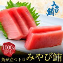 LINE限定 みやび鮪 「□中トロ1000g」中トロ 1000g 1kg 本マグロ 中とろ マグロ 小分け おさしみ 骨なし 皮なし 血合いなし 簡単解凍 養殖ブランド鮪 本鮪 刺身 刺し身 まぐろ トロ 海鮮 魚介 丼 漬け 長崎県産