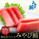 LINE限定 みやび鮪 「□中トロ600g」中トロ 600g 本マグロ 中とろ マグロ 小分け おさしみ 骨なし 皮なし 血合いなし 簡単解凍 養殖ブランド鮪 本鮪 刺身 刺し身 まぐろ トロ 海鮮 魚介 丼 漬け 長崎県産