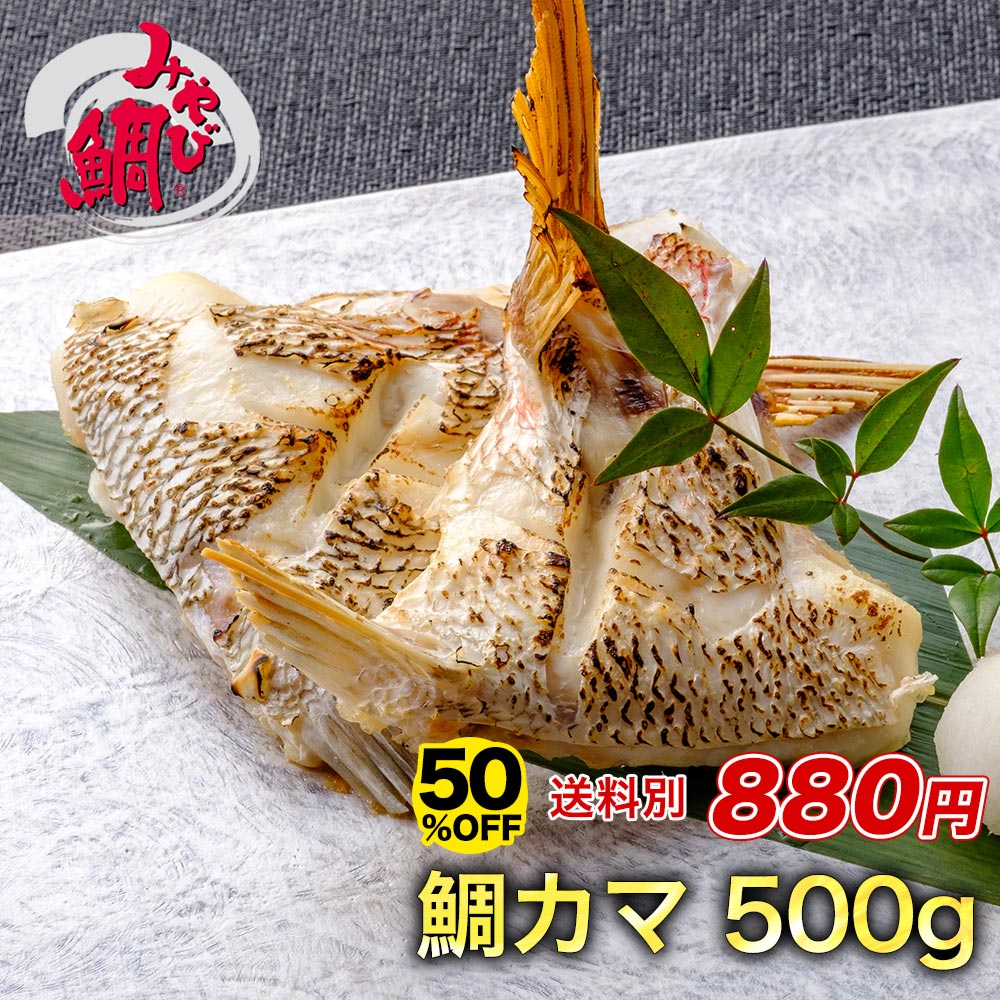 【半額★25日23:59まで】※合わせ買い専用商品※みやび鯛「鯛カマ500g」鯛カマ 500g 約4〜6個 熊本県 養殖 真鯛 希少 冷凍 備蓄 海鮮 魚介 塩焼き 煮付け 天草産