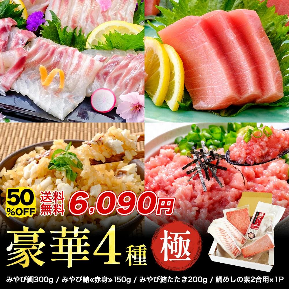 【半額★25日23:59まで】鯛 本鮪 「極セット」計750g セット 刺身 タイ マグロ 鯛めしの素 小分け 食べきり 冷凍 魚介 海鮮 本マグロ 長崎県 養殖 熊本県産 たたき ネギトロ お刺身 さしみ ご褒美 ギフト 天草産 贈り物