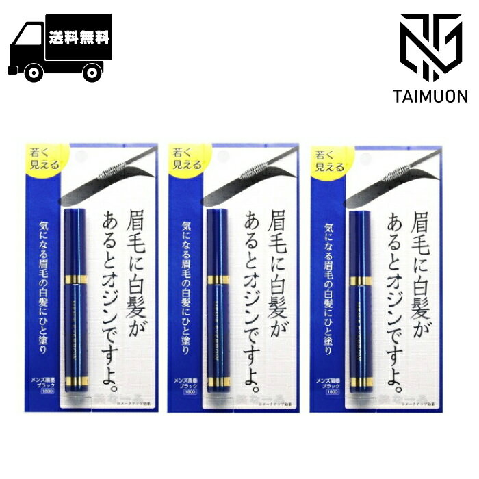 【3本セット】 ビナ薬粧 メンズ眉墨 ブラック アイブロウ