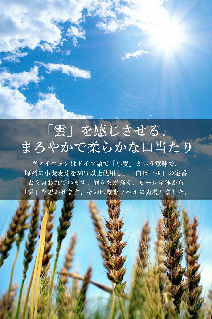 雲のヴァイツェン 12本入 330ml×12本 ヴァイツェン 胎内高原ビール高級 クラフトビール 瓶 通販サイト 白ビール ギフト プレゼント 詰め合わせ セット 国産 贈り物 お取り寄せ 飲みやすい ビールギフト おしゃれ ビールセット ビールプレゼント 地ビールギフト 送料無料 3