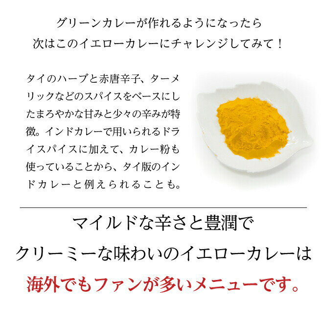 メープロイ イエローカレーペースト 50g タイ料理 食材 使いきり 調味料 エスニック料理 タイカレー 食品 使いきり mae ploy