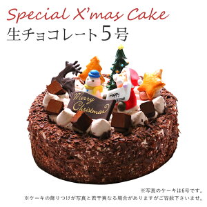 【特製 クリスマスケーキ 予約 2021】生チョコレートケーキ5号 直径15cmご予約受付中！クリスマス向け特製ケーキ★家族で、友達と、皆で♪
