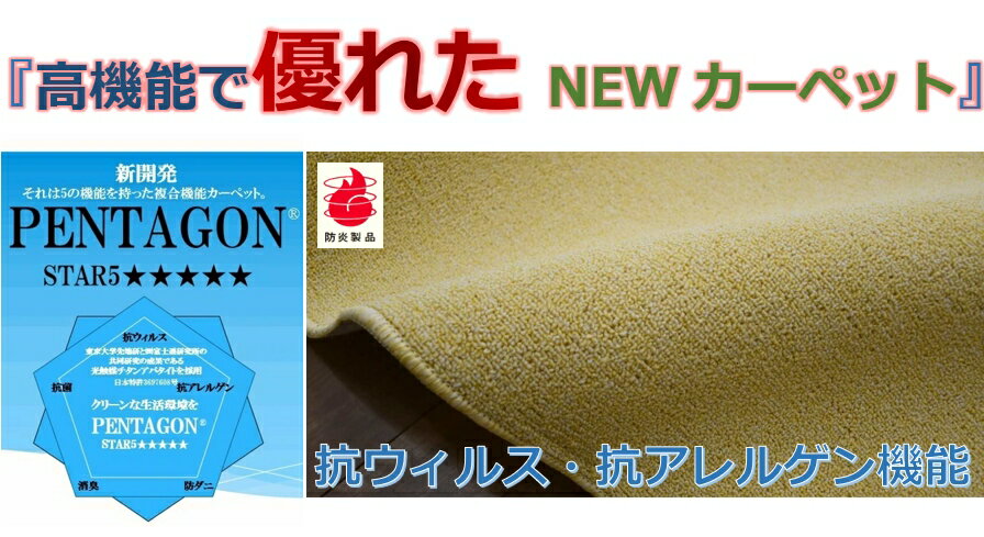 最終価格 カーペット 6畳 六畳 じゅうたん ...の紹介画像3