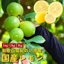 【送料無料】紀の川市産 ハウス栽培 国産レモン 1kg 2kg 3kg リスボンレモン 国産 和歌山県産 グリーンレモン イエローレモン フルーツ 果物 不揃い