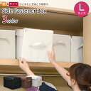 サイドファスナー収納ボックスL│折りたたみ クローゼット収納 収納BOX ラック収納 大容量 衣類 洋服 書類 おもちゃ箱 子供部屋 リビング おしゃれ 収納ボックス 収納ボックス 収納BOX 収納 収納ボックス