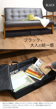 サイドファスナー収納ボックスLL ベッド下 ソファ下用│折りたたみ クローゼット収納 収納BOX ラック収納 大容量 衣類 洋服 書類 おもちゃ箱 子供部屋 リビング おしゃれ 極薄タイプ すきま収納