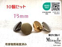 ◇薄型◇高光沢 裏足 シンプル メタル調 ボタン 【D】錆びに強い ミラクル メッキ エコテックス 取得(金属調・4色展開)13mm×10個セット日本製