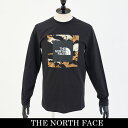 THE NORTH FACE(ザ・ノースフェイス)メンズウェアロングTシャツ長袖TシャツブラックNF0A7X2KJK31