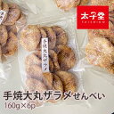 太子堂 手焼き大丸ザラメせんべい 160g×6パック【送料無料】定番の美味さ 3時のおやつ お煎餅 ロングセラー商品 醤油味 箱買い