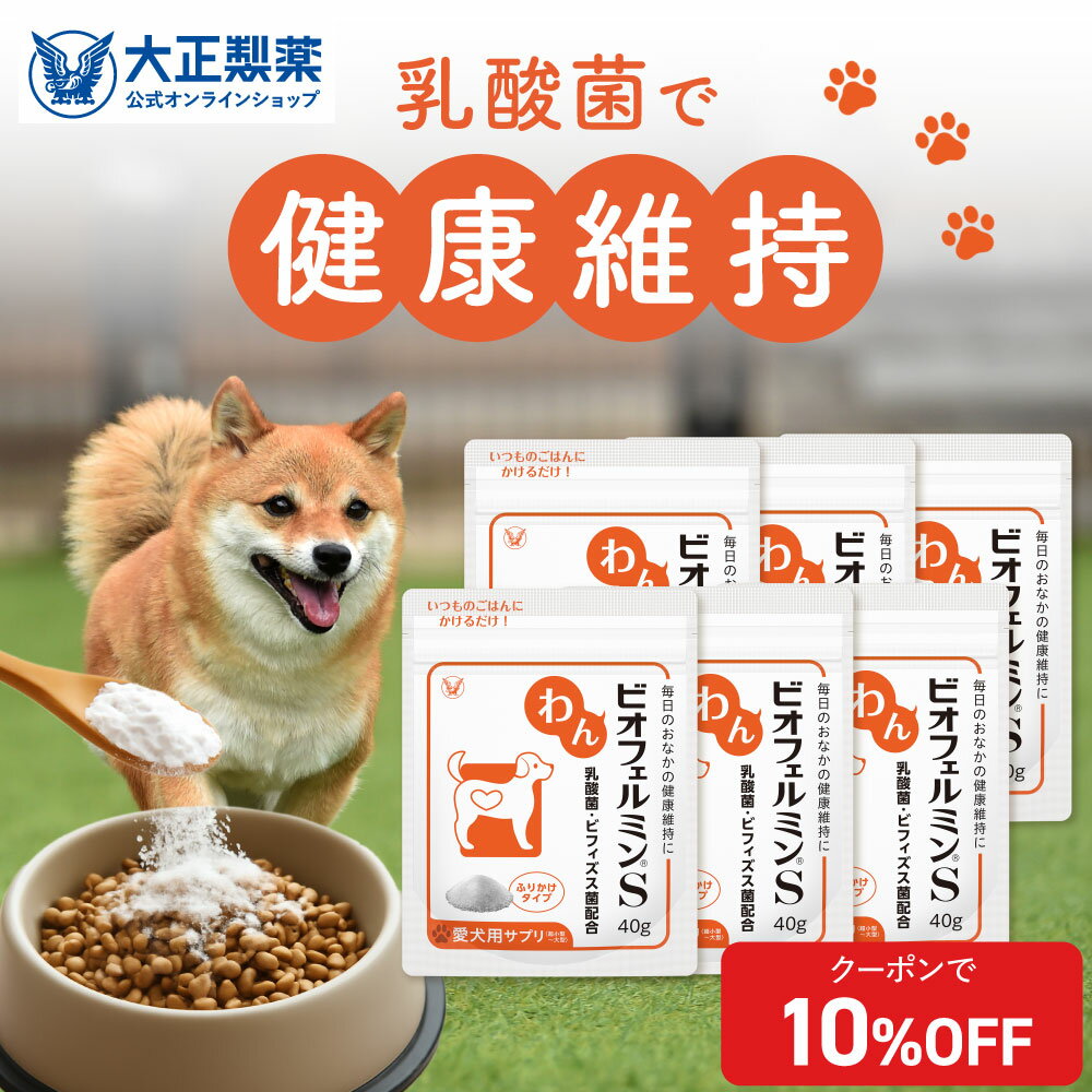 【大容量サイズ】犬 乳酸菌 わんビオフェルミンS （40g×6袋）ふりかけタイプ 全犬種対応 善玉菌 ビフィズス菌 ビオフェルミン 愛犬用腸活サプリ ペット ふりかけ 愛犬