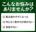 【公式】大正製薬 リポビタンライフ 100ml 50本 ローヤルゼリー アミノ酸 ビタミンB群 タウリン 1500mg 栄養ドリンク リポビタン ビタミン ドリンク 送料無料 指定医薬部外品 2