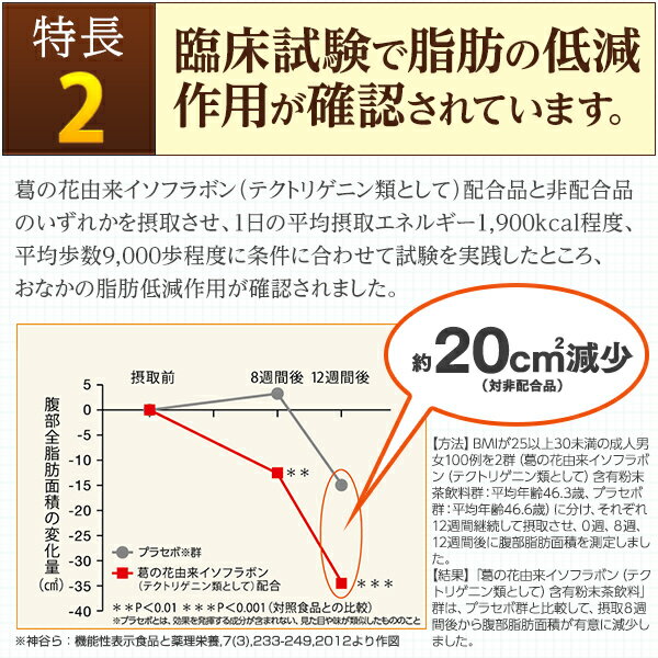 【公式】大正製薬 おなかの脂肪が気になる方のタブレット（粒タイプ） 1袋90粒 脂肪 サプリ 脂肪対策 内臓脂肪 皮下脂肪 葛の花 イソフラボン 機能性表示食品 サプリメント 脂肪分解促進 脂肪低減