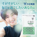 【大正製薬】CBD サプリメント 大容量 3ヶ月分 100粒 日本製 チル 国内生産 国産 健康食品 カンナビジオール