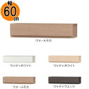 引出し アコード60専用