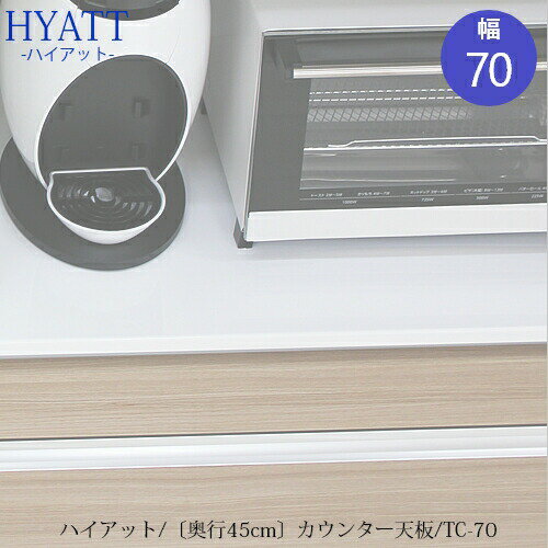 󥿡ŷġTC-S70ڥå󥫥󥿡/HYATT/45cm/ҤŤ/SAեȡ