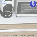 カウンター天板 TC-D70【キッチンカウンター/HYATT専用/奥行50cm/片づけ上手/SAクラフト】