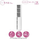 ブックすきまくん BSD PTR41-55/D42 リビング 書斎 書棚 壁面収納 組合せ