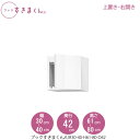 ブックすきまくん〔上置き〕 BSD UR30-40/H61-80/D42 リビング 書斎 書棚 壁面収納 組合せ