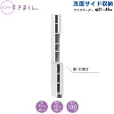 サニタリーすきまくん 幅31~45 奥行42cm/52cm 洗面収納棚 洗面サイド収納 TTR