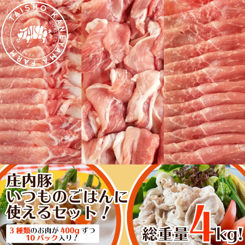 総重量4kg!!庄内豚いつものご飯に使えるセット　送料無料 国産 東北 山形県産 酒田市 豚肉 新鮮 冷凍 生肉 ご当地 さっぱり おいしい おうちご飯 セット ギフト お礼 グルメ お取り寄せ 人気 高級肉 まとめ買い 贈答　福袋 福箱 詰め合わせ