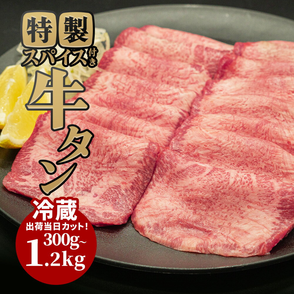 牛タン 特製スパイス付き 肉厚 タン 牛肉 冷蔵 バーベキュー セット 焼肉 セット 冬 ギフト お祝い 小分け