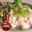 厳選国産牛ホルモン 肉 牛肉 300g 600g 特製味噌ダレ付き 焼肉 BBQ バーベキューセット 焼肉セット 小分け 冷凍 ギフト お祝い お中元 夏休み ...