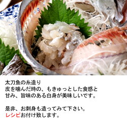 太刀魚（山口県周防大島産）1kgもしくは長崎のブランド五島太刀（たちうお）