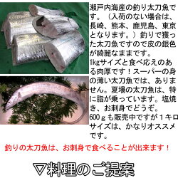 太刀魚(山口県周防大島産)1kgもしくは長崎のブランド五島太刀(たちうお)
