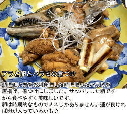 太刀魚(山口県周防大島産)1kgもしくは長崎のブランド五島太刀(たちうお)